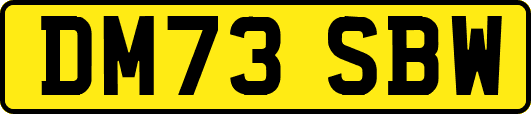 DM73SBW