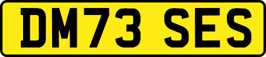 DM73SES