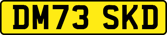 DM73SKD