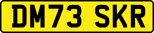 DM73SKR