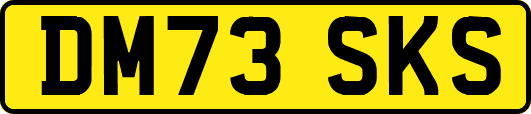 DM73SKS