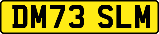 DM73SLM