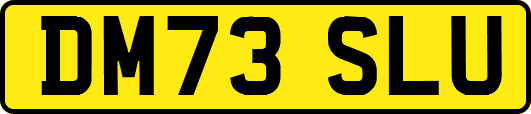 DM73SLU