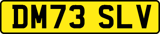 DM73SLV