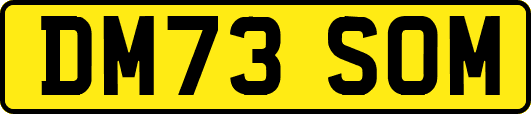 DM73SOM