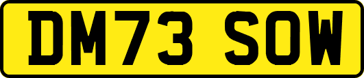 DM73SOW