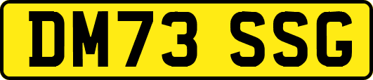 DM73SSG