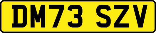 DM73SZV