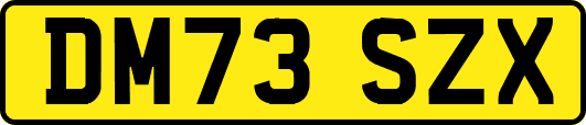 DM73SZX