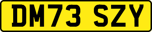 DM73SZY