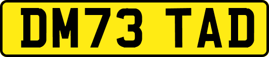 DM73TAD