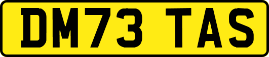 DM73TAS