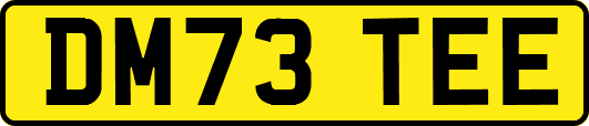 DM73TEE