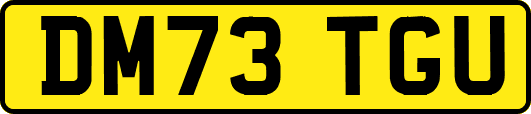 DM73TGU