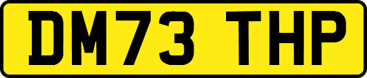 DM73THP