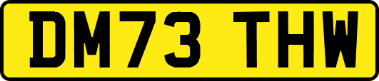 DM73THW