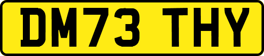 DM73THY