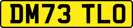 DM73TLO
