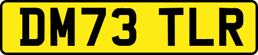 DM73TLR