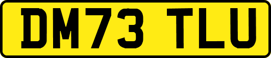 DM73TLU