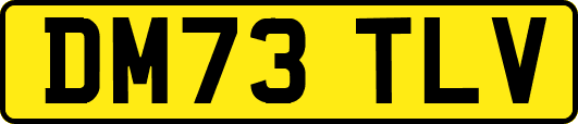 DM73TLV