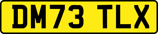 DM73TLX