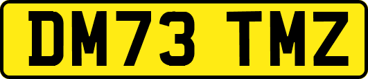 DM73TMZ