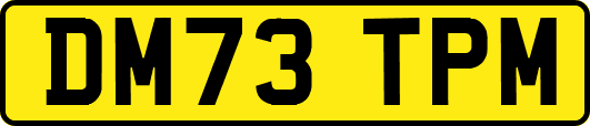DM73TPM