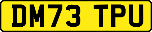 DM73TPU