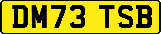 DM73TSB