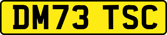 DM73TSC