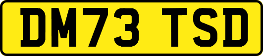 DM73TSD