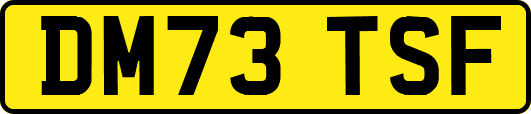 DM73TSF