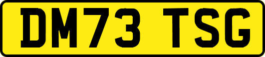 DM73TSG
