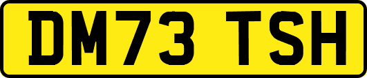 DM73TSH