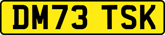 DM73TSK