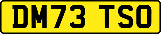 DM73TSO