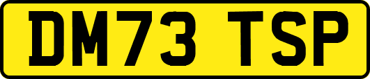 DM73TSP