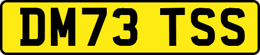 DM73TSS