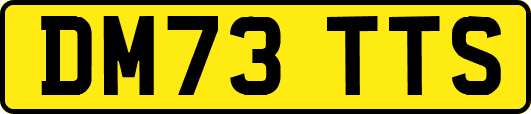 DM73TTS