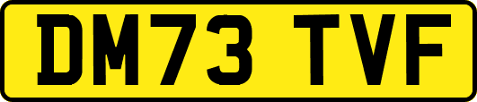 DM73TVF