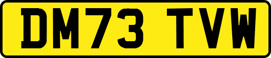 DM73TVW