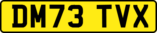 DM73TVX