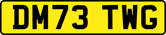 DM73TWG