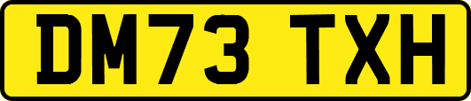 DM73TXH
