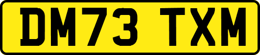DM73TXM