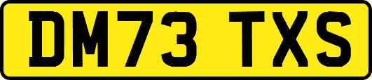 DM73TXS