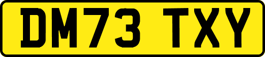 DM73TXY
