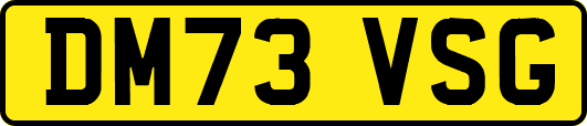 DM73VSG