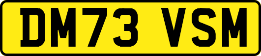 DM73VSM